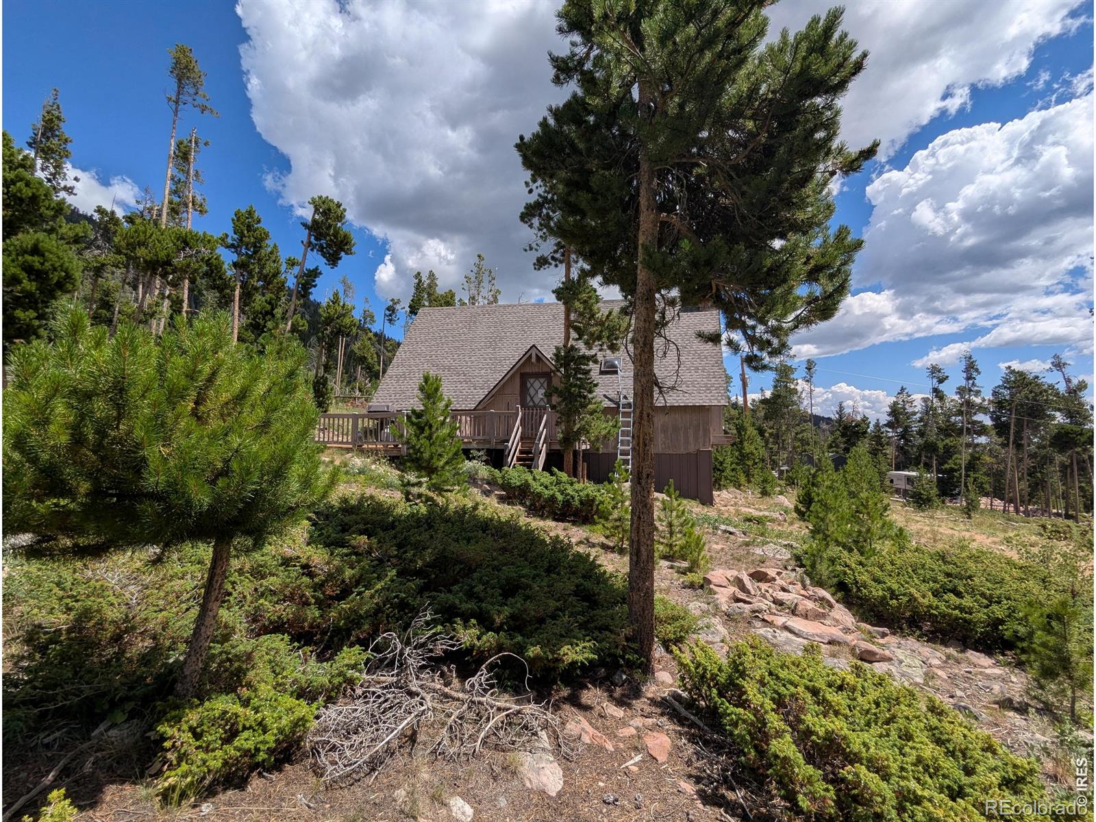 321 Tonkawa Drive Red Feather Lakes CO 80545