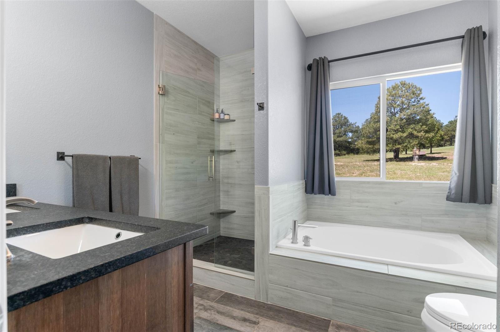 27083 Pine Vista Circle Kiowa CO 80117