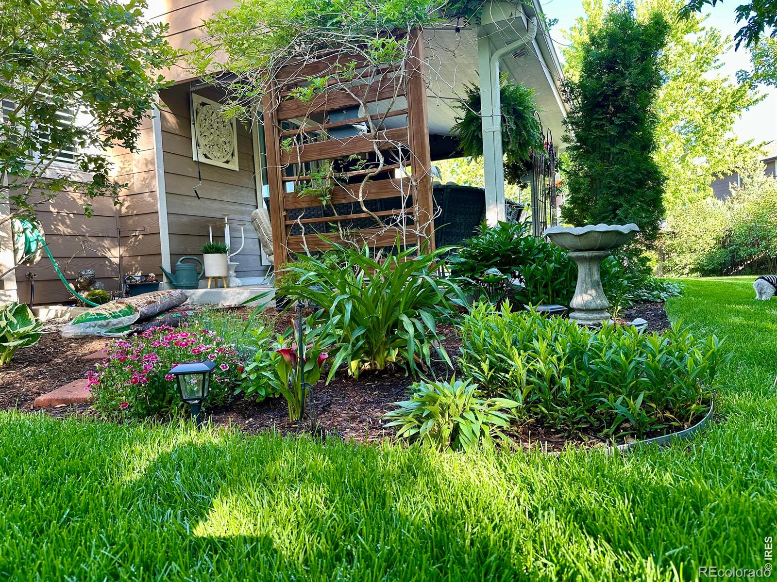 2557 Baneberry Lane Highlands Ranch CO 80129