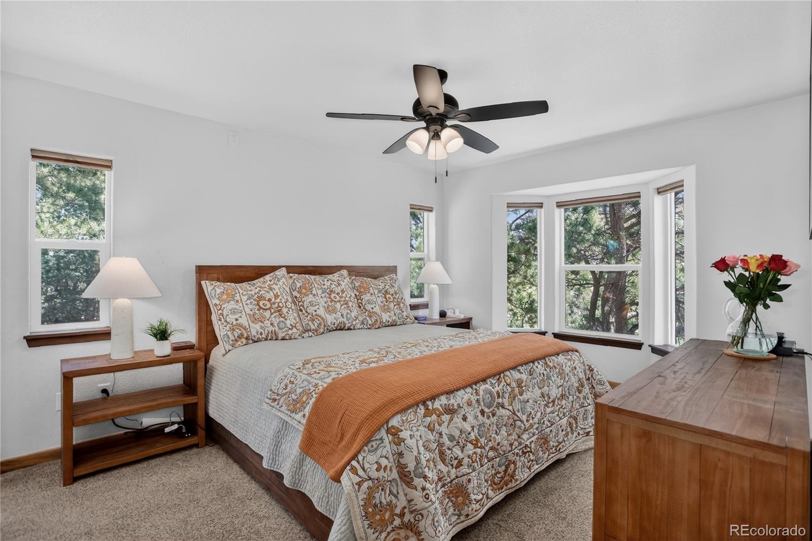 341 Rainbow Trail Divide CO 80814