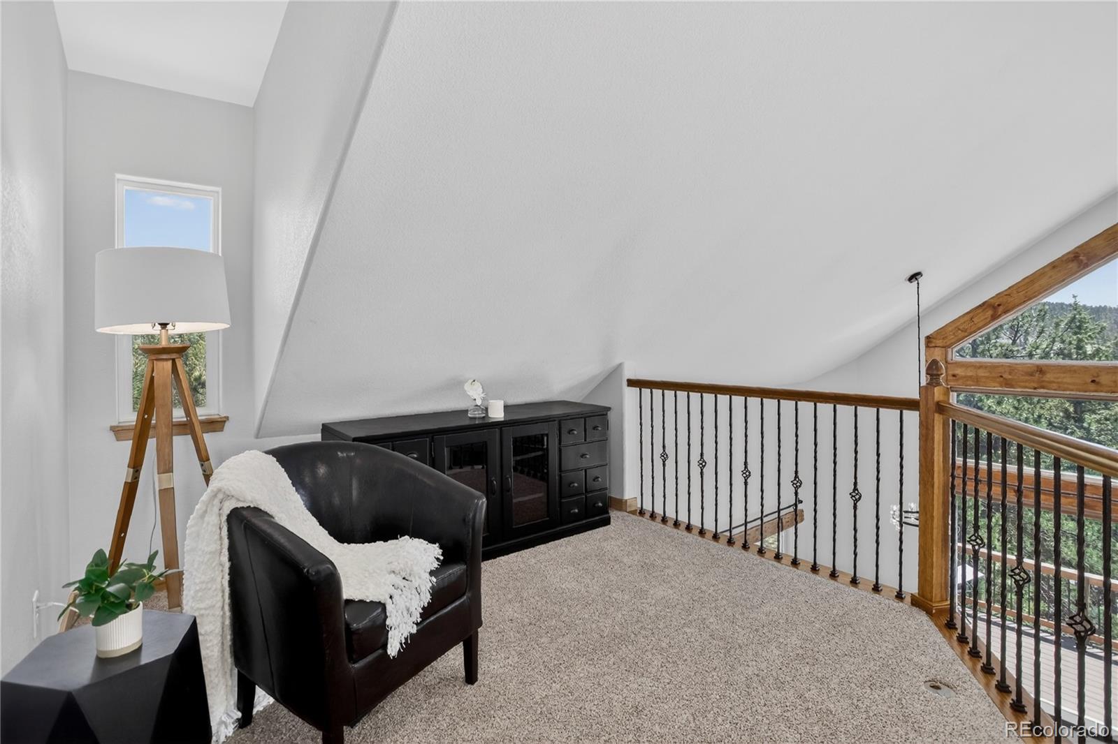 341 Rainbow Trail Divide CO 80814