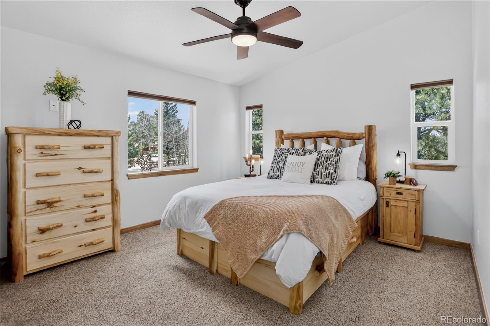 341 Rainbow Trail Divide CO 80814