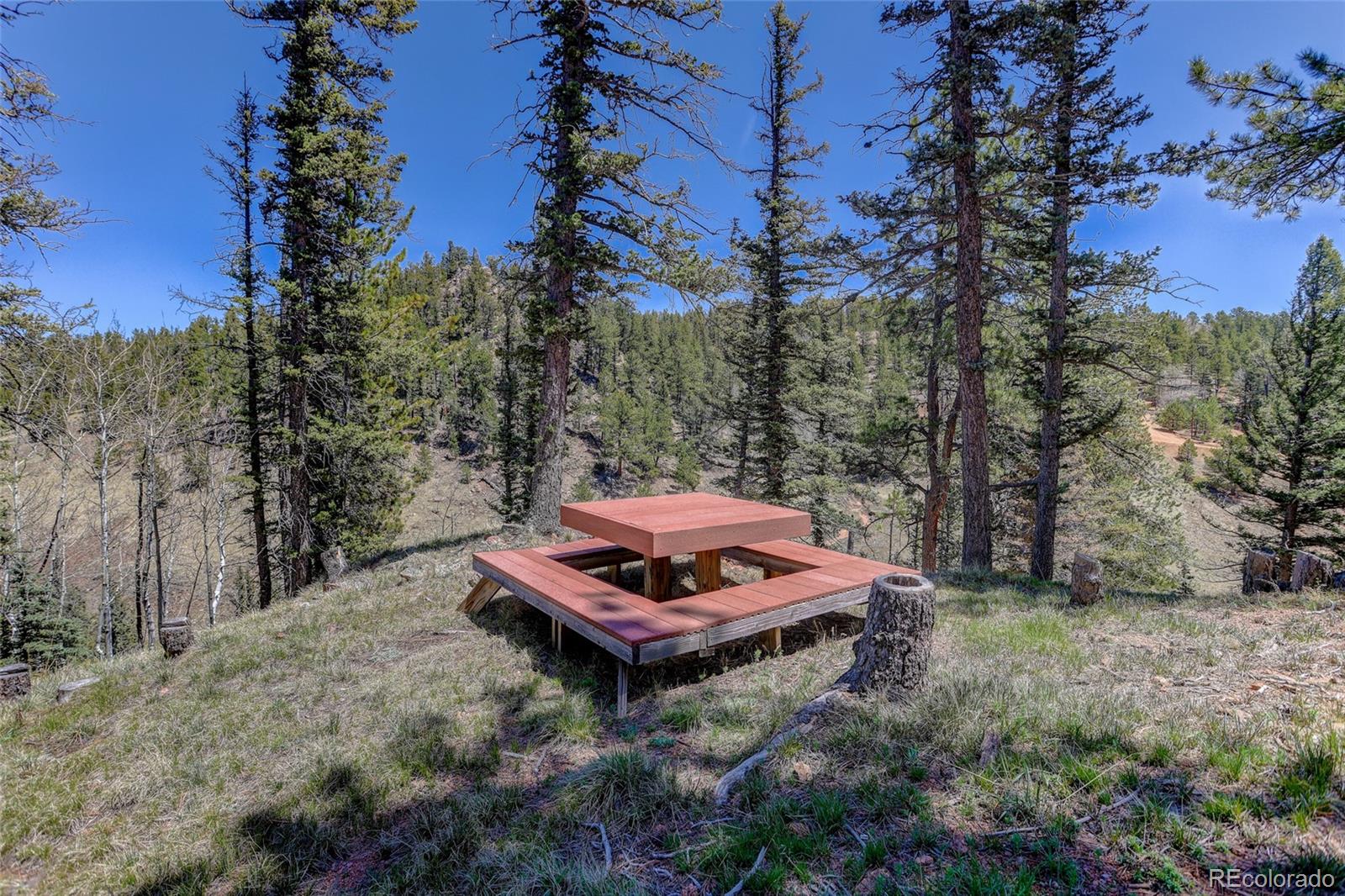 341 Rainbow Trail Divide CO 80814