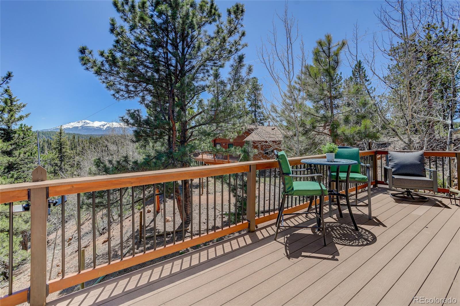 341 Rainbow Trail Divide CO 80814