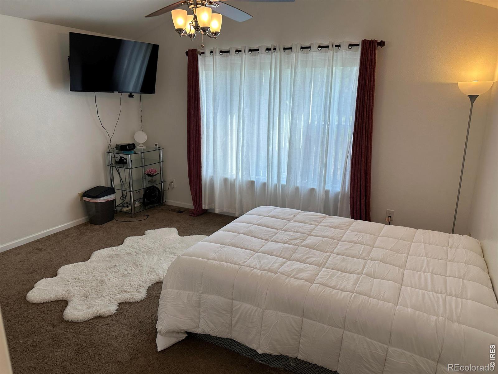 1013 W 41st Street Loveland CO 80538
