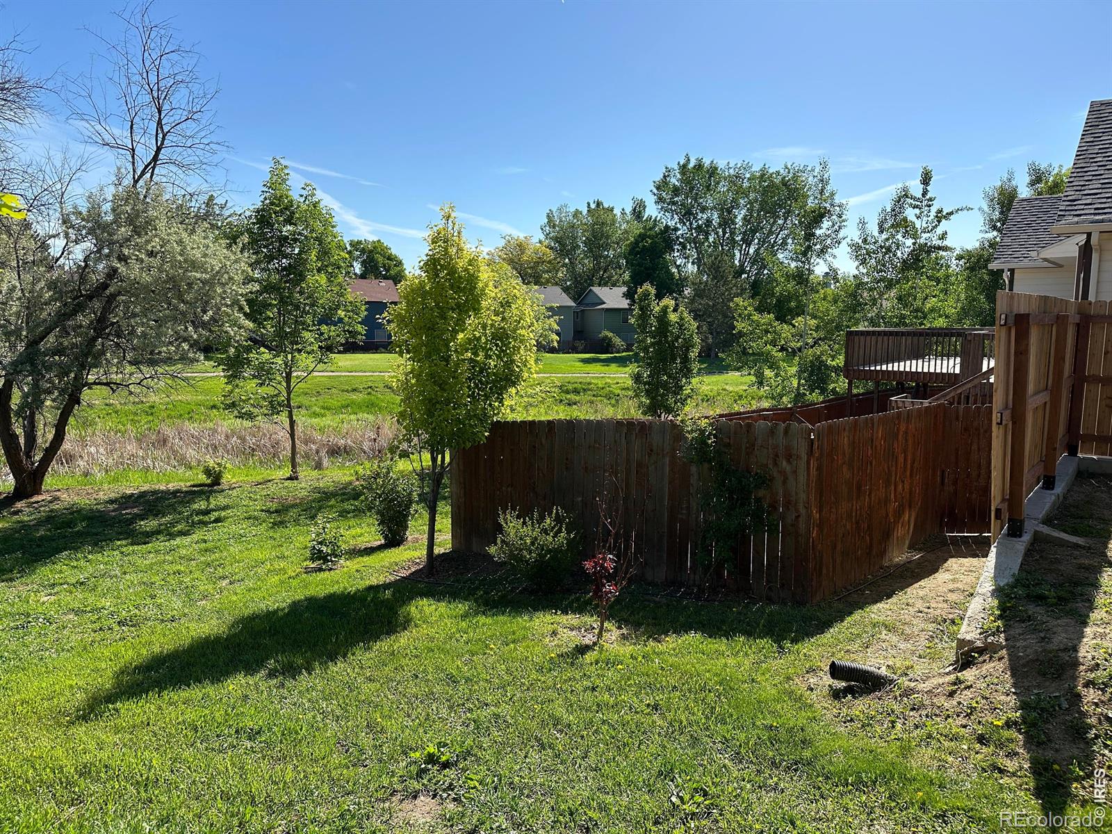 1013 W 41st Street Loveland CO 80538