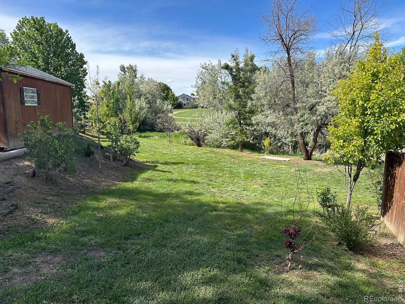 1013 W 41st Street Loveland CO 80538