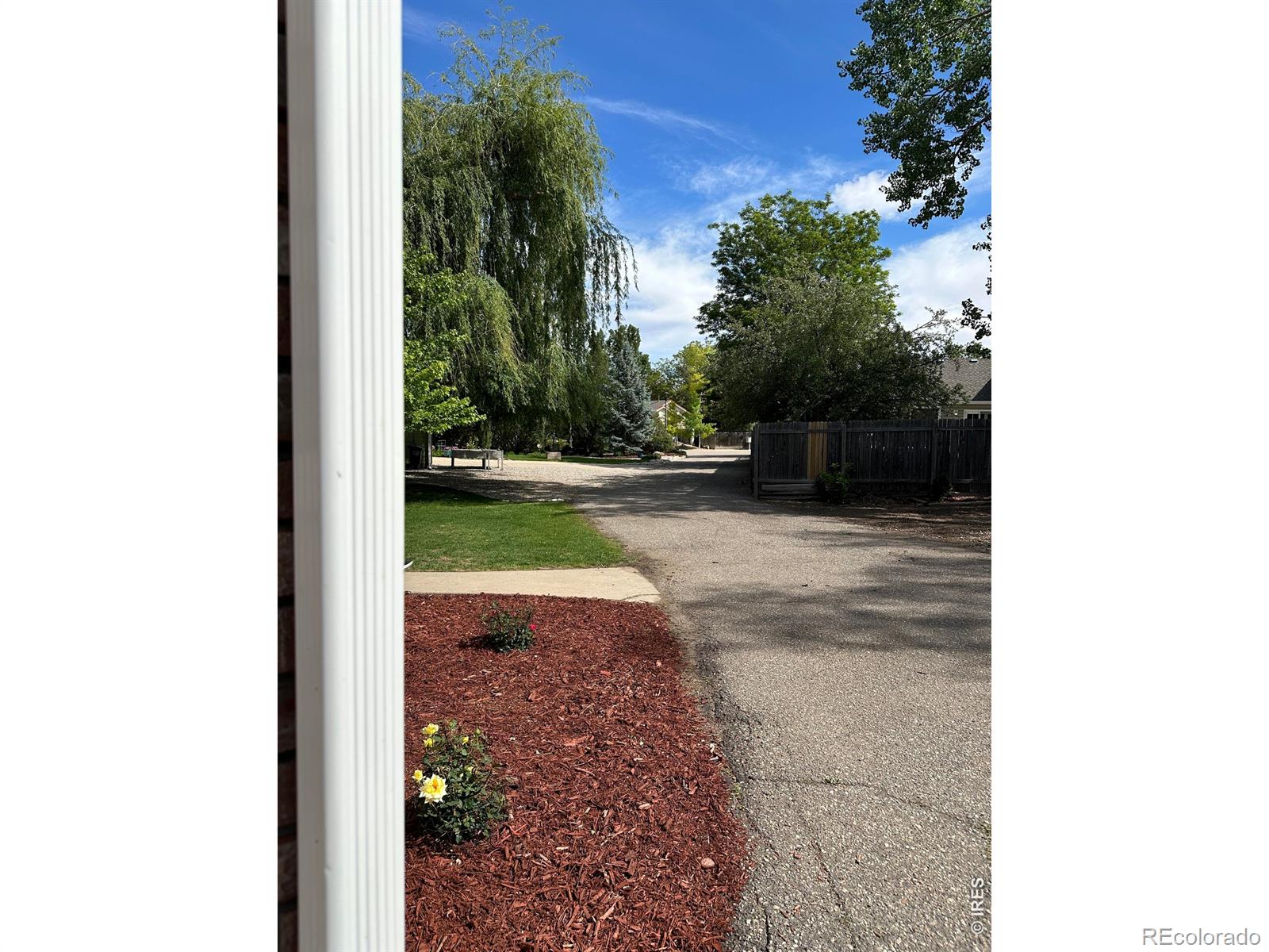 1013 W 41st Street Loveland CO 80538