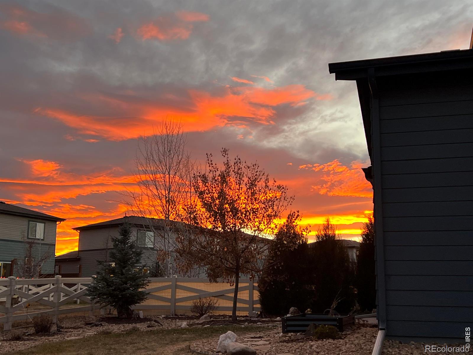 2145 Lambic Street Fort Collins CO 80524