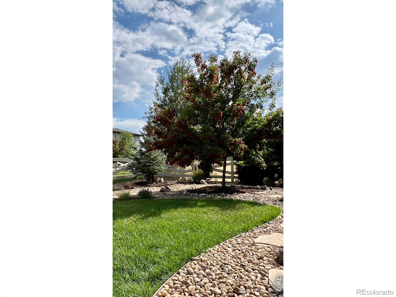 2145 Lambic Street Fort Collins CO 80524