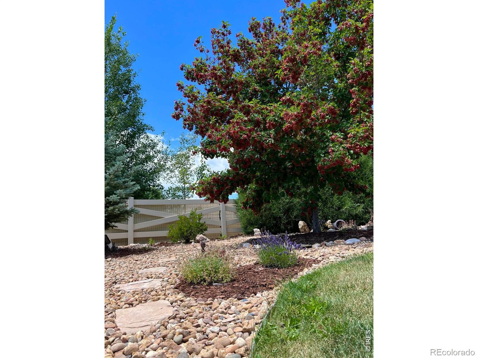 2145 Lambic Street Fort Collins CO 80524