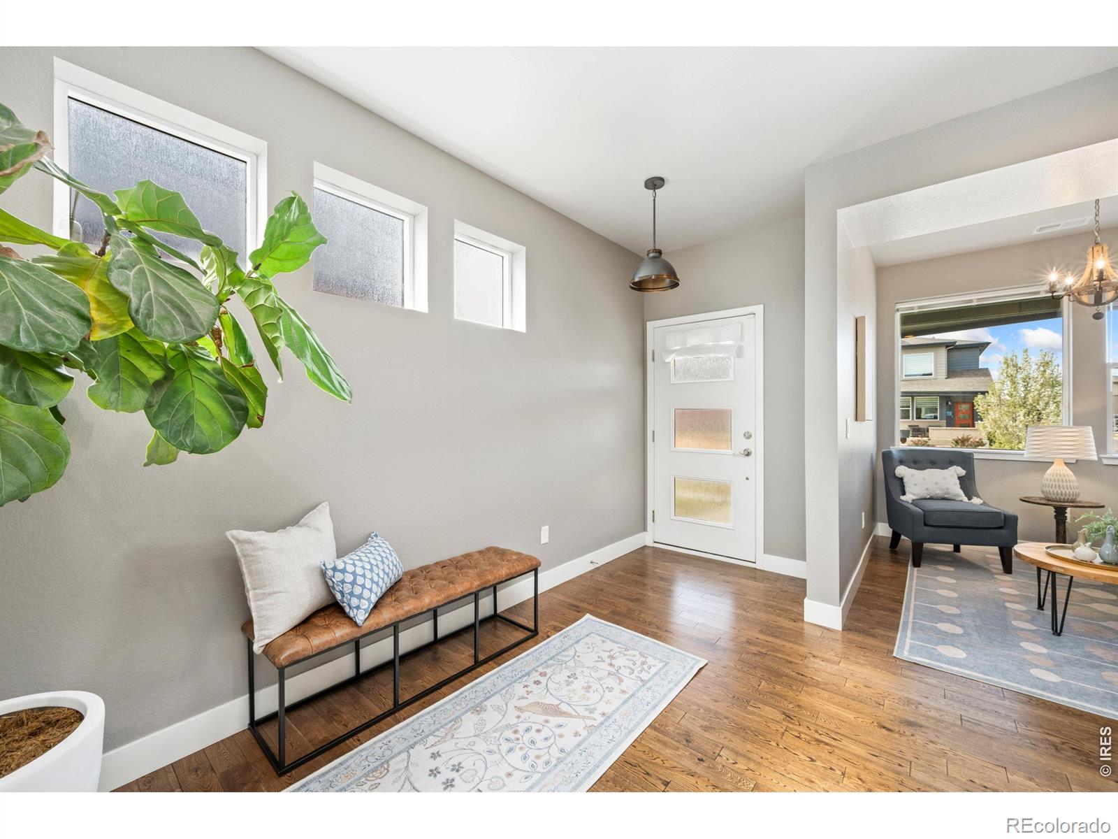 2145 Lambic Street Fort Collins CO 80524