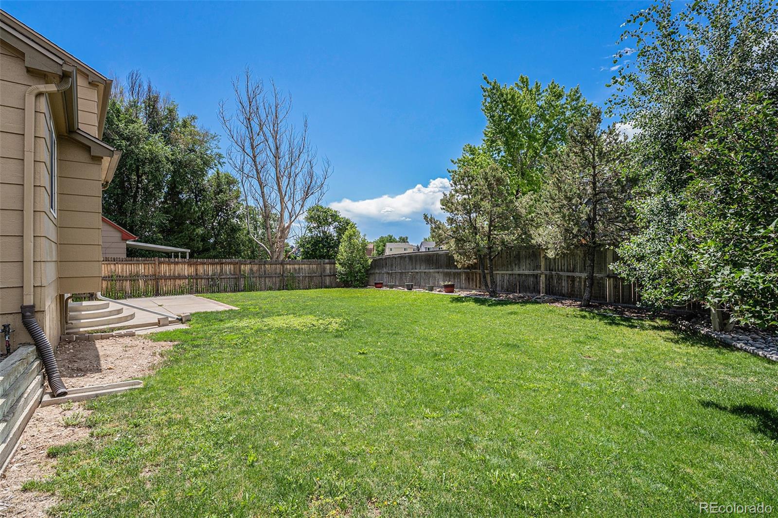 5310 E Manchester Drive Castle Rock CO 80104