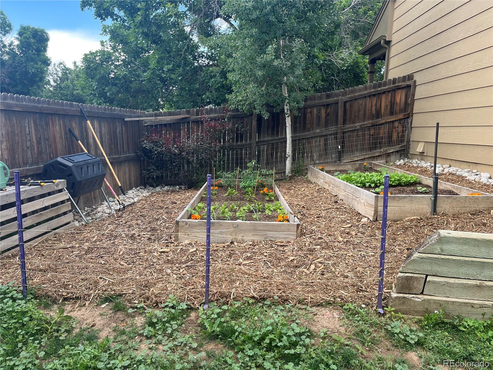 5310 E Manchester Drive Castle Rock CO 80104