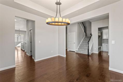 1842 Holmby Court Castle Rock CO 80104