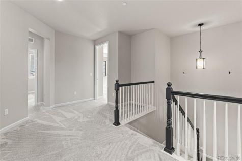 1842 Holmby Court Castle Rock CO 80104