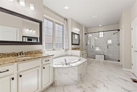 1842 Holmby Court Castle Rock CO 80104