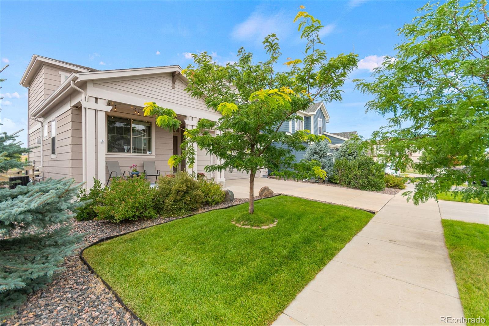 23300 York Avenue Parker CO 80138