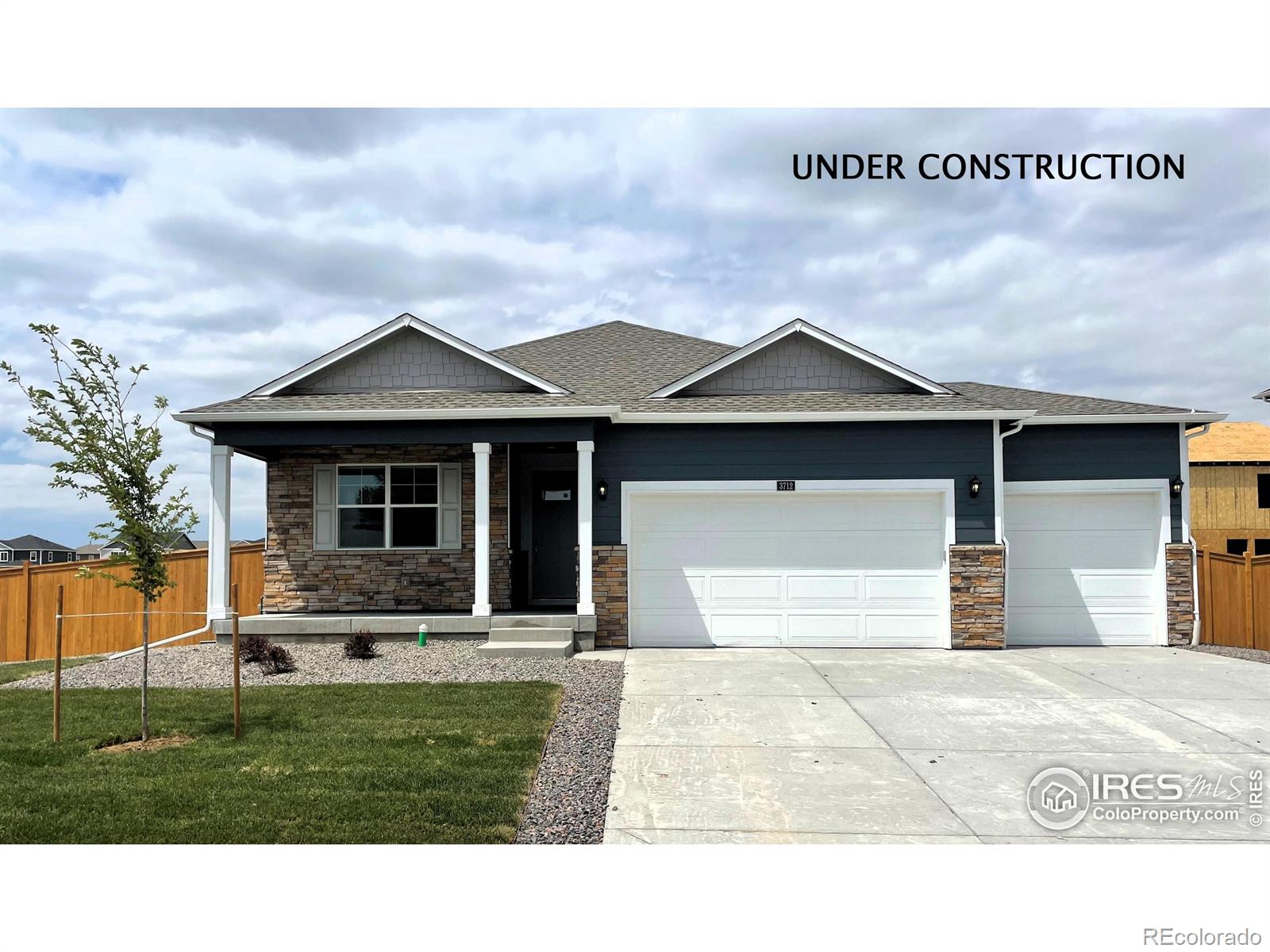 6390 Coralbell Street Wellington CO 80549