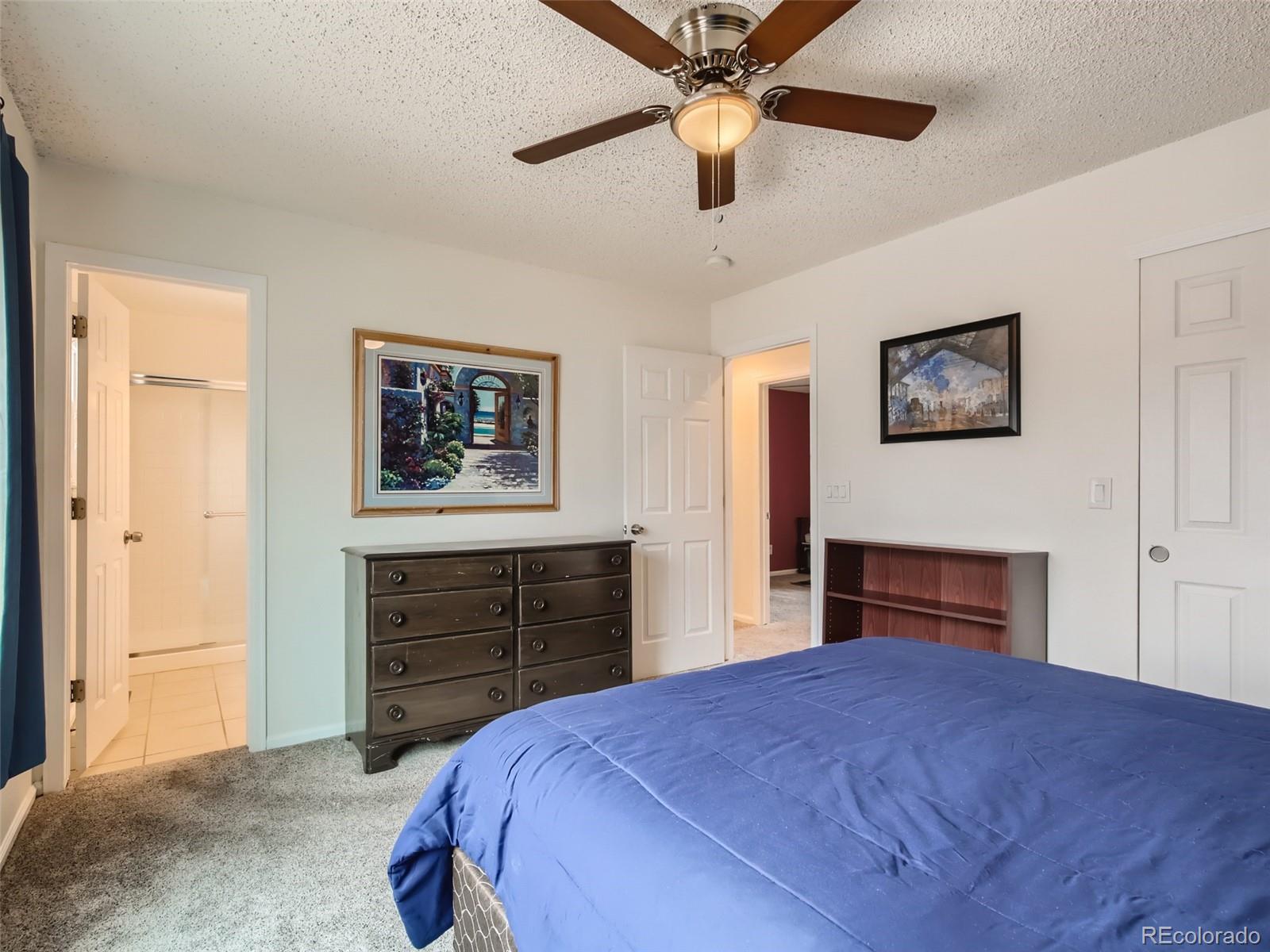 47 S Bedford Avenue Castle Rock CO 80104