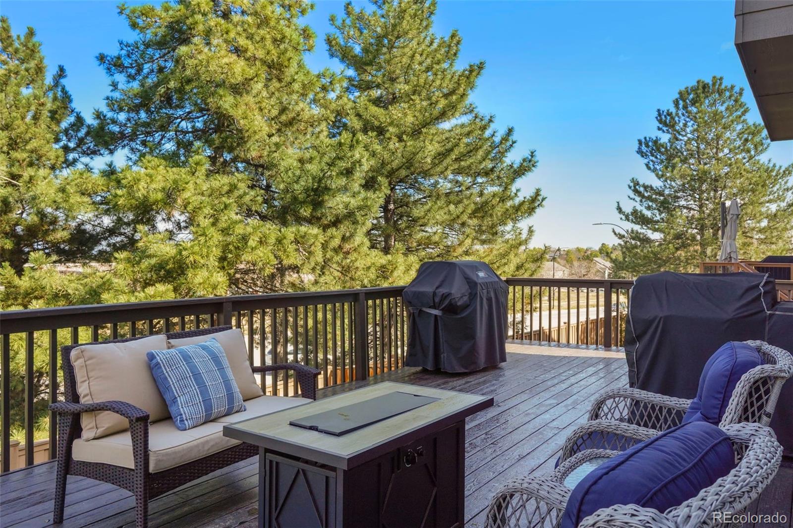 9701 Millstone Court Highlands Ranch CO 80130