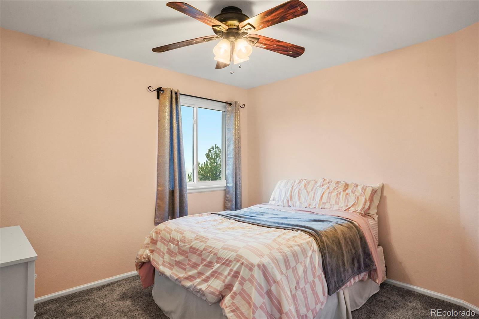 9701 Millstone Court Highlands Ranch CO 80130