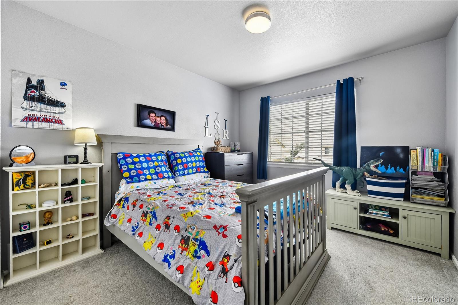 20344 E 41st Avenue Denver CO 80249