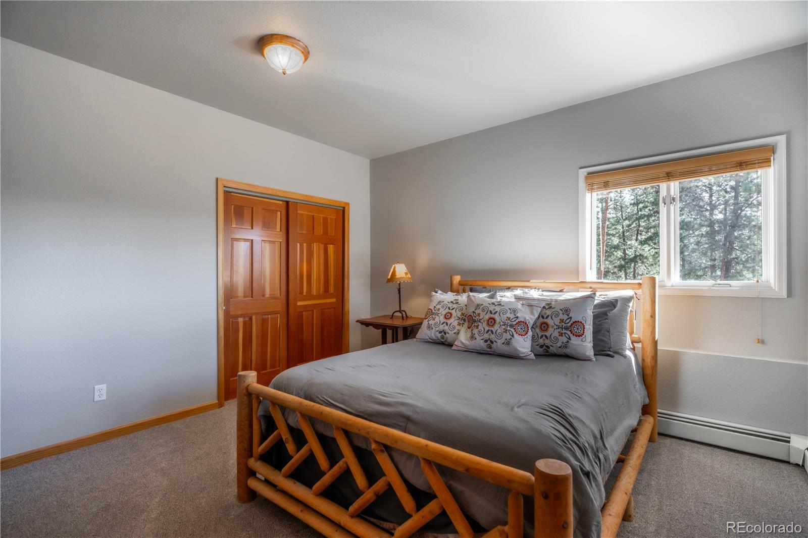 318 Road D Pine CO 80470