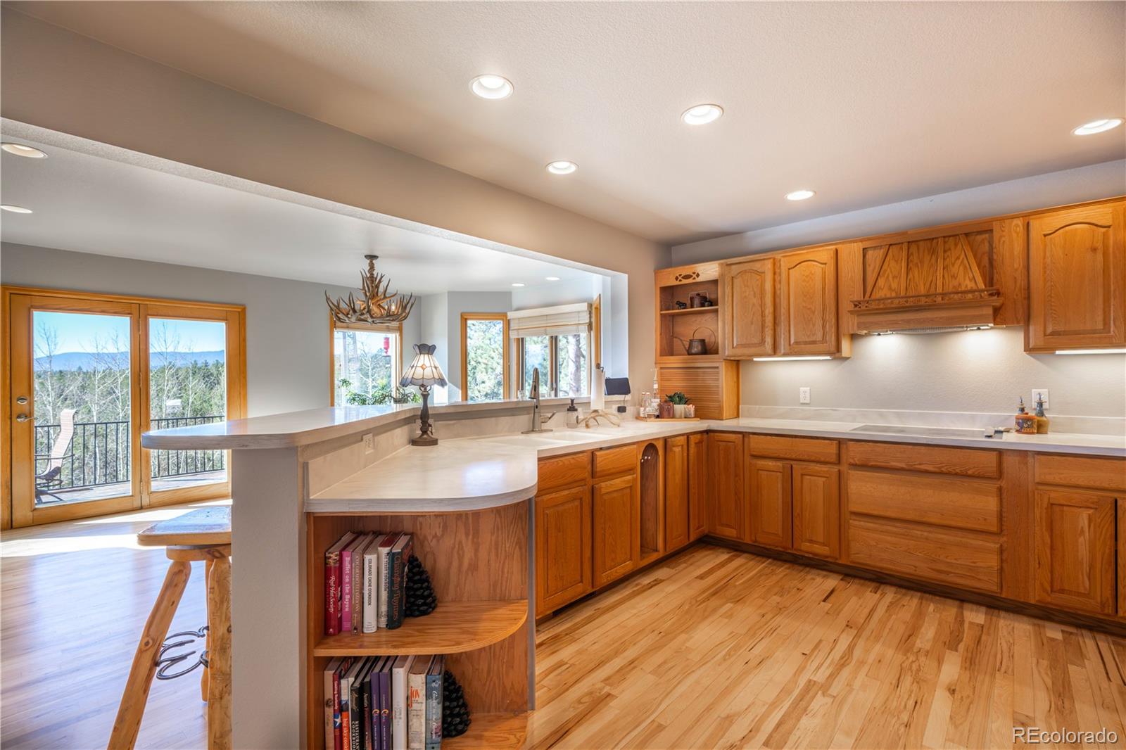 318 Road D Pine CO 80470