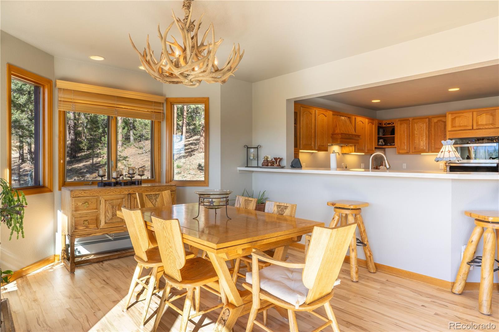 318 Road D Pine CO 80470