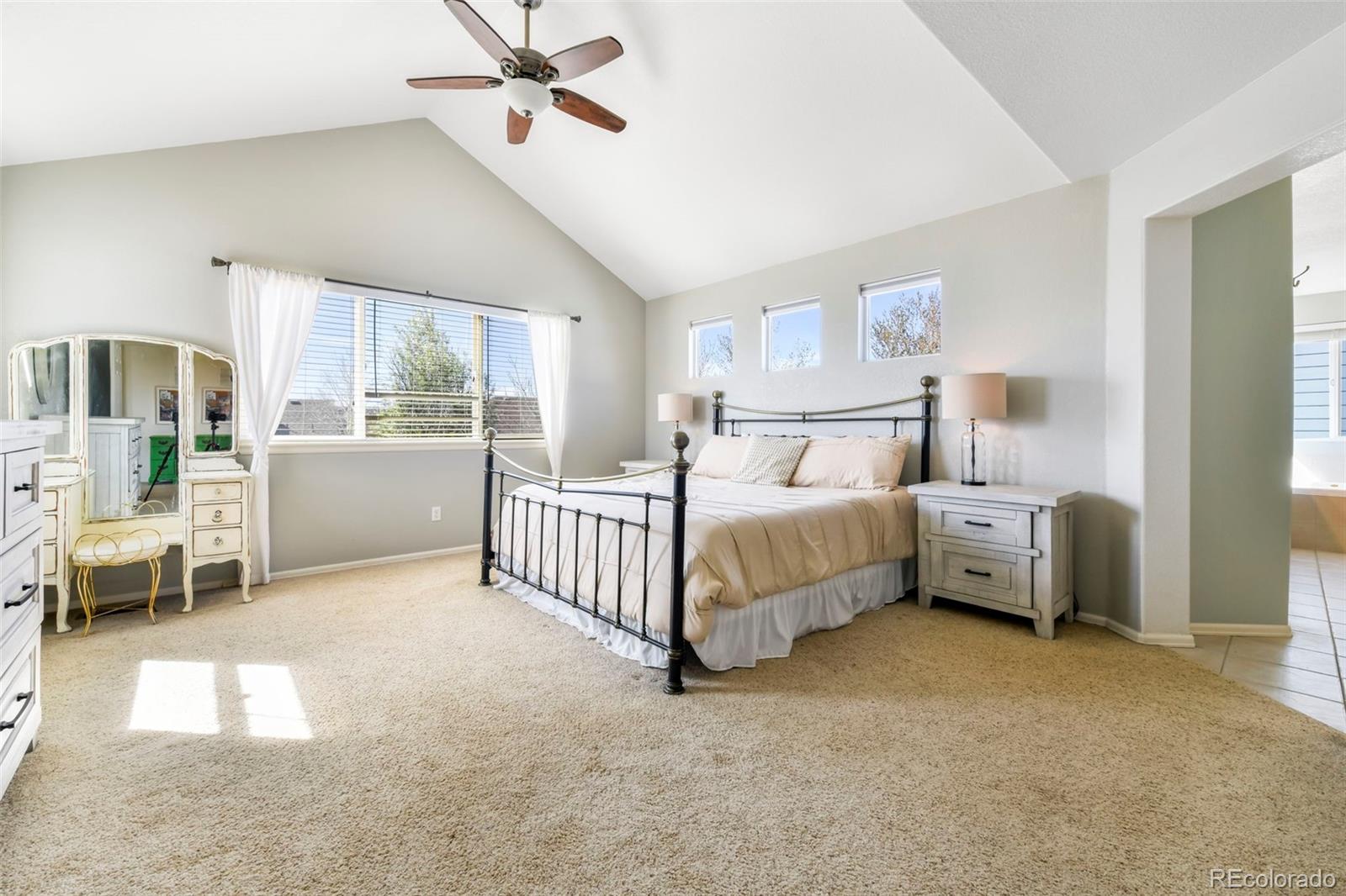 3524 Dove Valley Place Castle Rock CO 80108