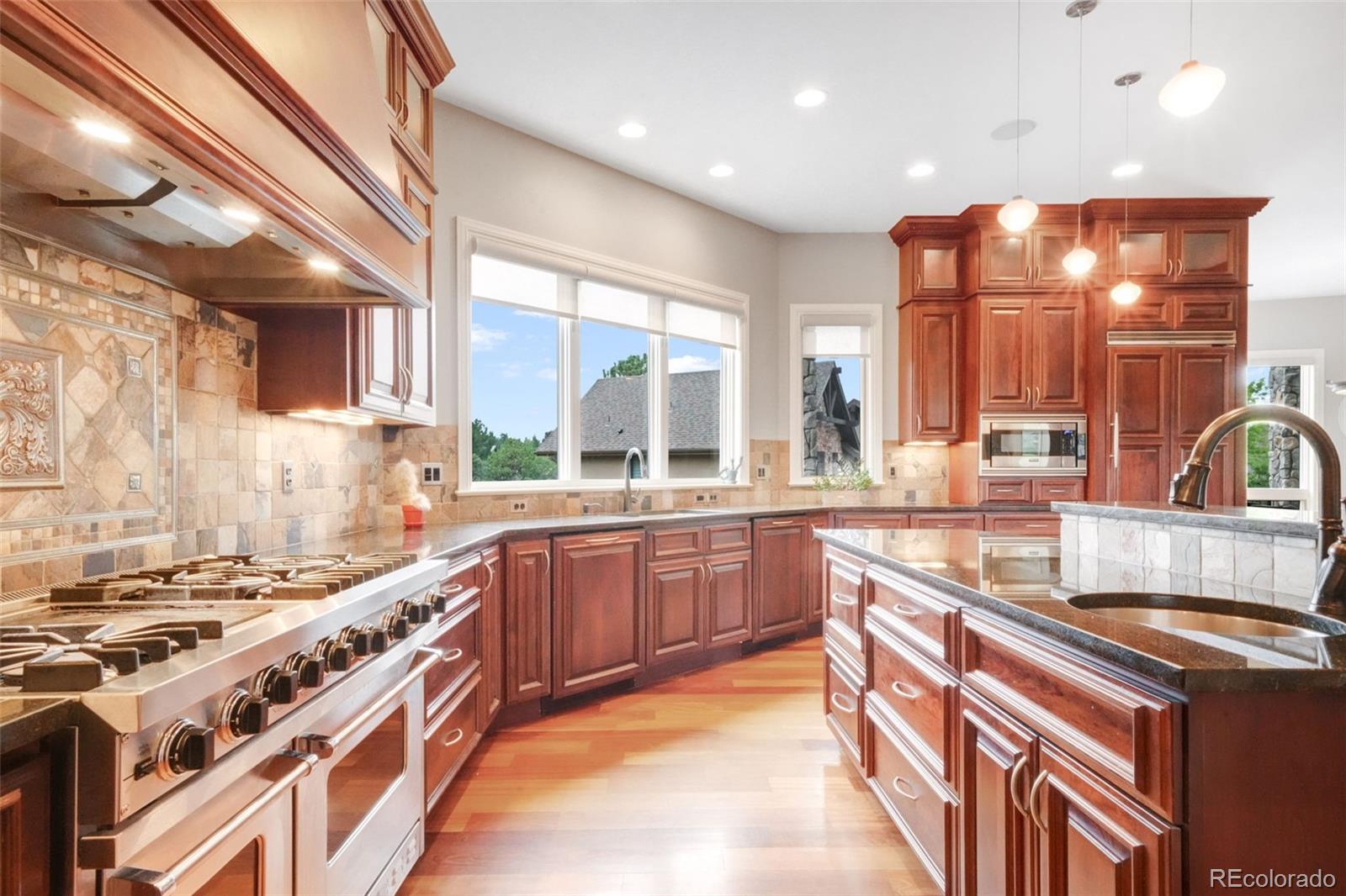 9197 Sunshine Meadow Place Parker CO 80134