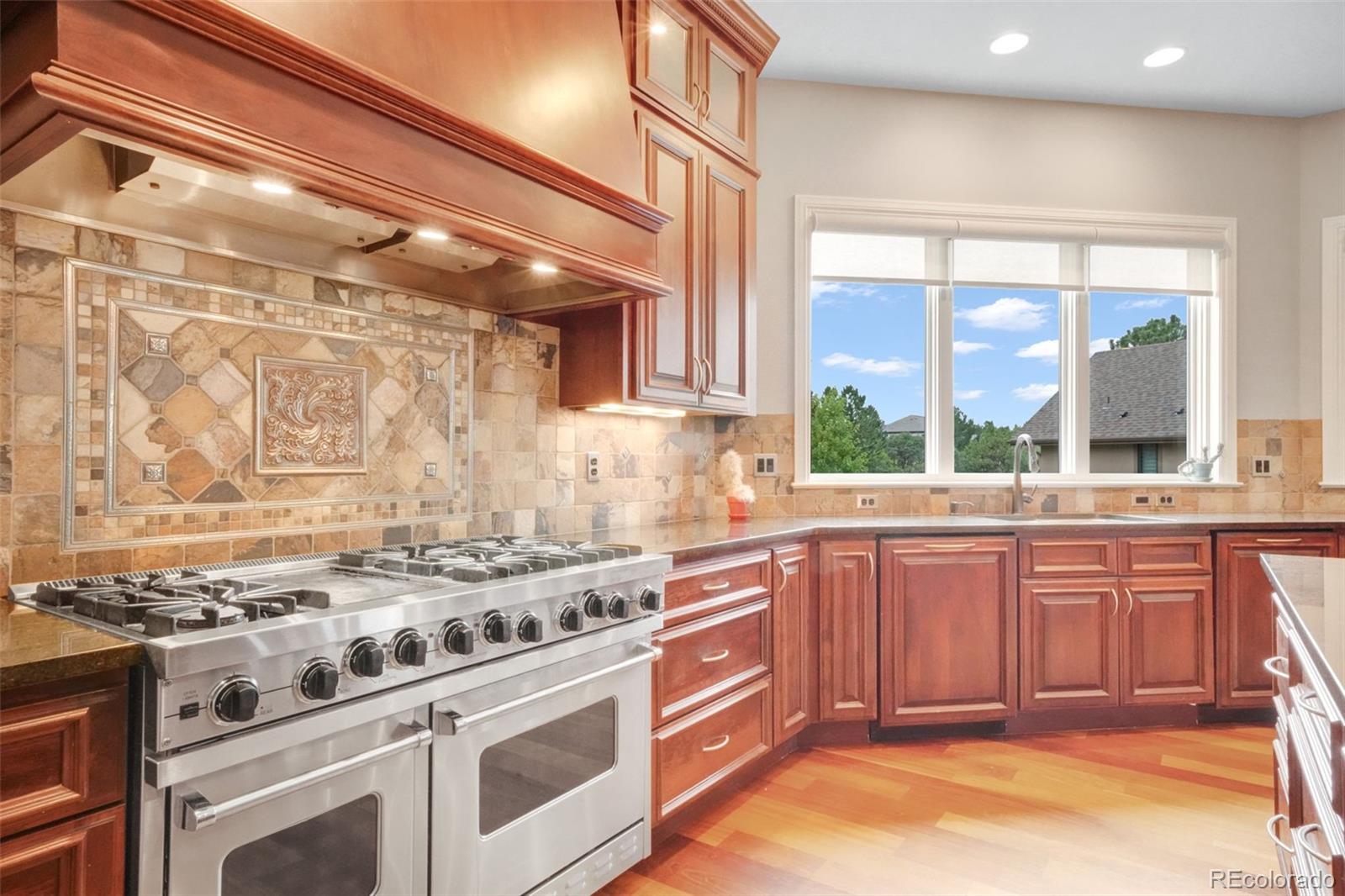 9197 Sunshine Meadow Place Parker CO 80134