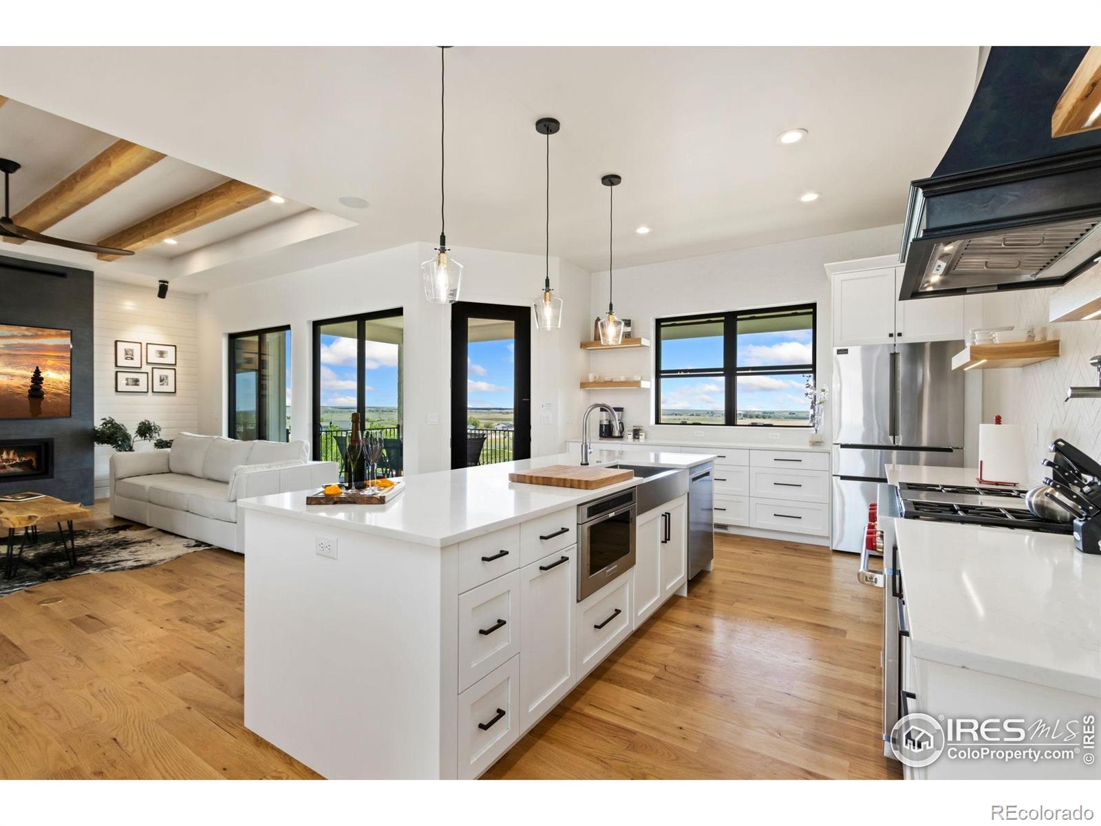 3802 Bridle Ridge Circle Severance CO 80524
