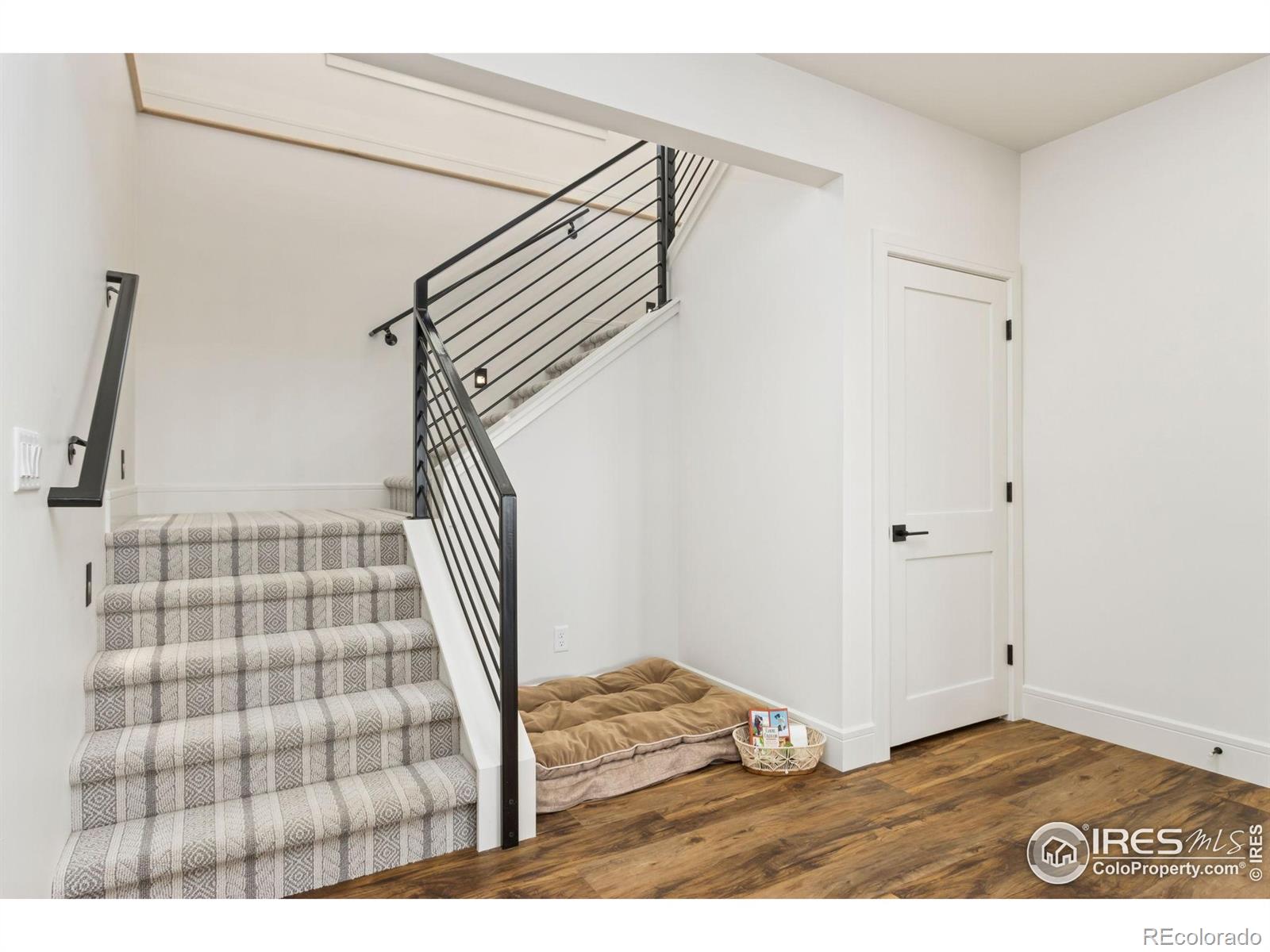 3802 Bridle Ridge Circle Severance CO 80524