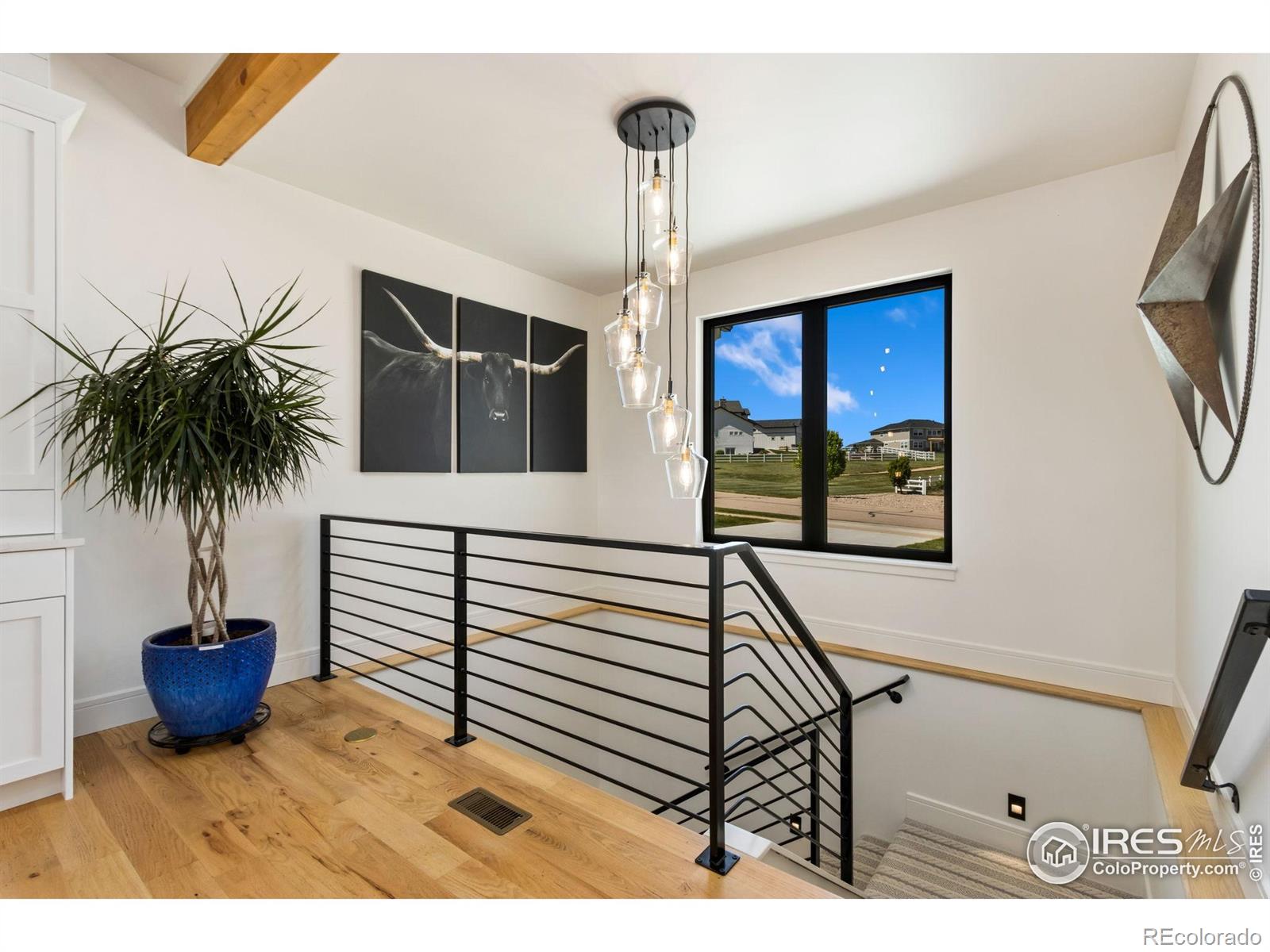 3802 Bridle Ridge Circle Severance CO 80524