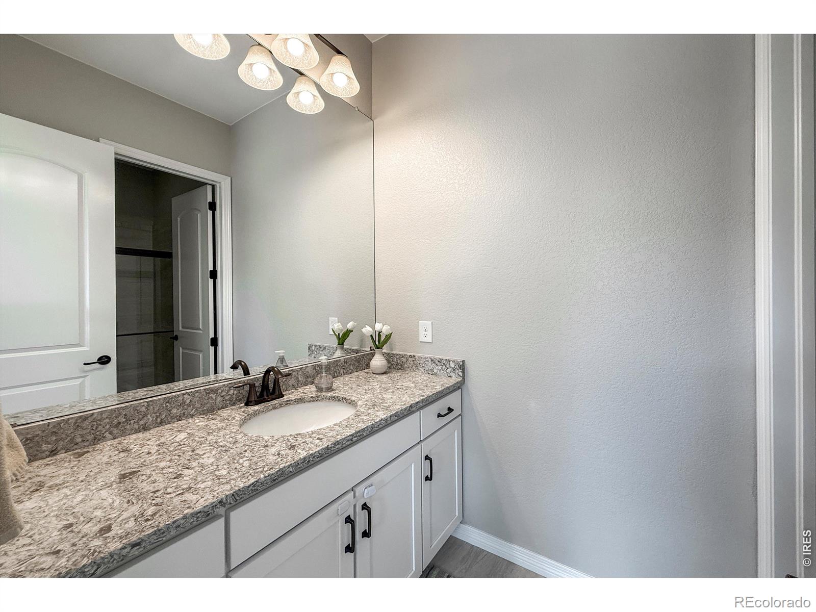 16043 Swan Mountain Drive Broomfield CO 80023