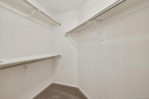12821 Buckhorn Creek Street Parker CO 80134