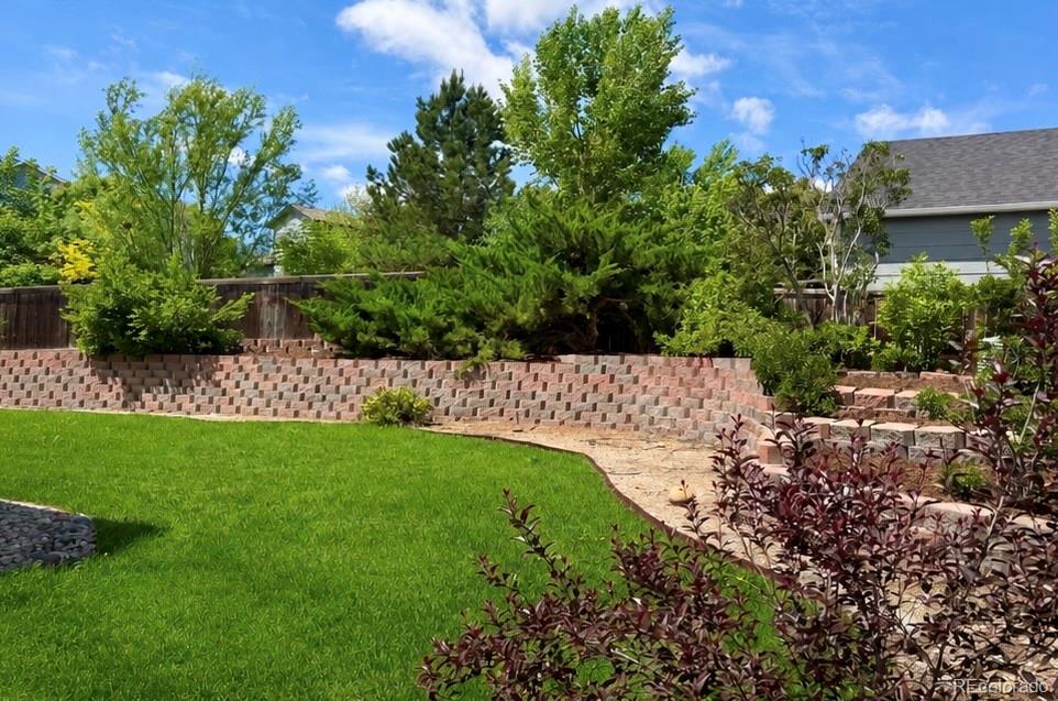 12821 Buckhorn Creek Street Parker CO 80134
