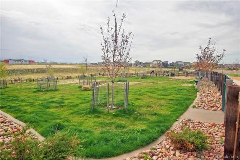 6286 Kildare Drive Colorado Springs CO 80927