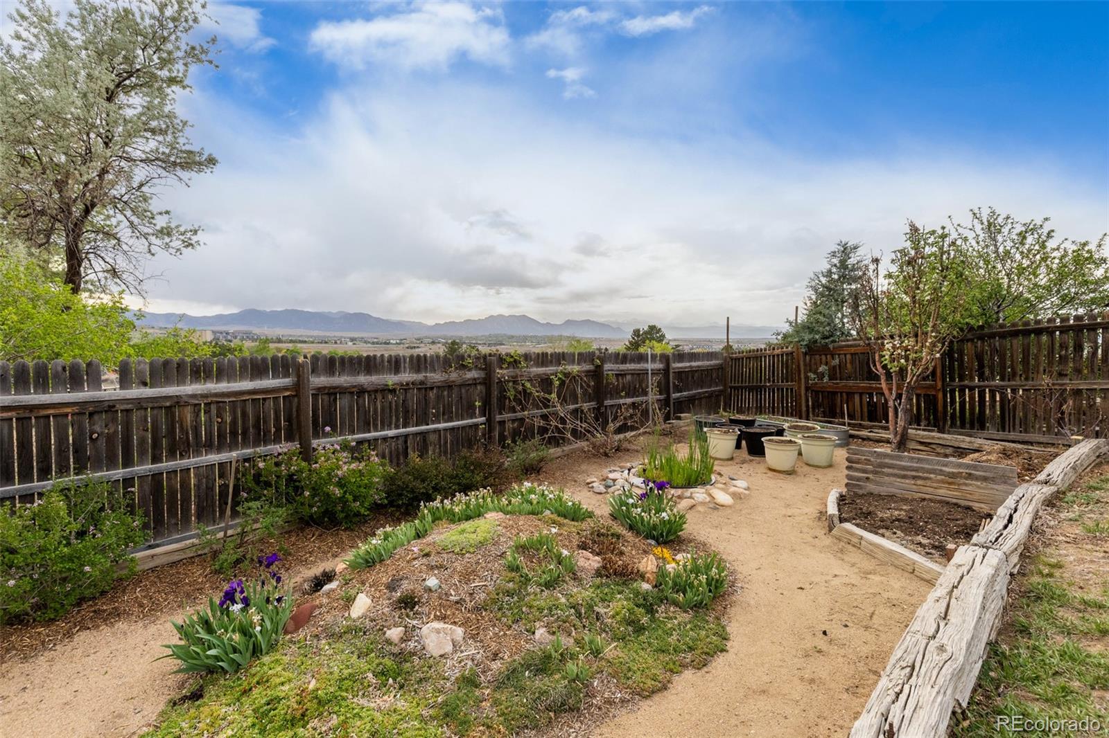 1137 Maple Circle Broomfield CO 80020