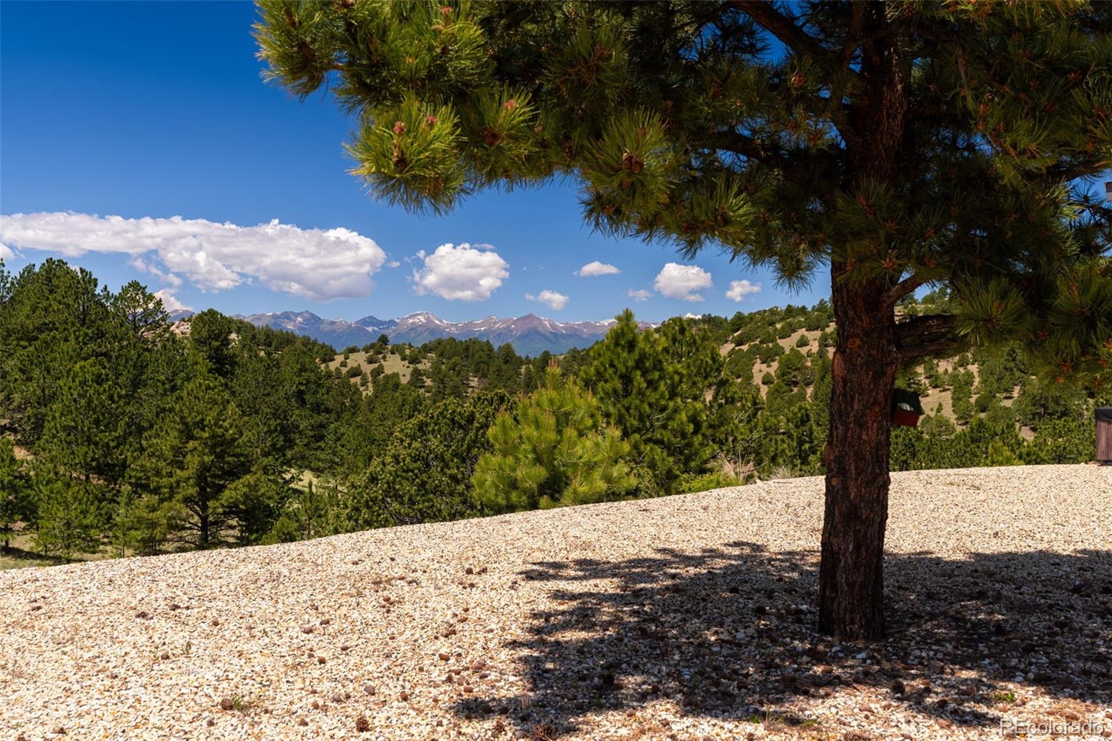 333 Della Fox Lane Westcliffe CO 81252
