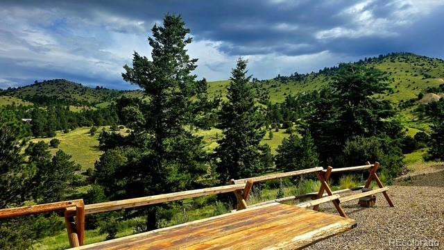 333 Della Fox Lane Westcliffe CO 81252
