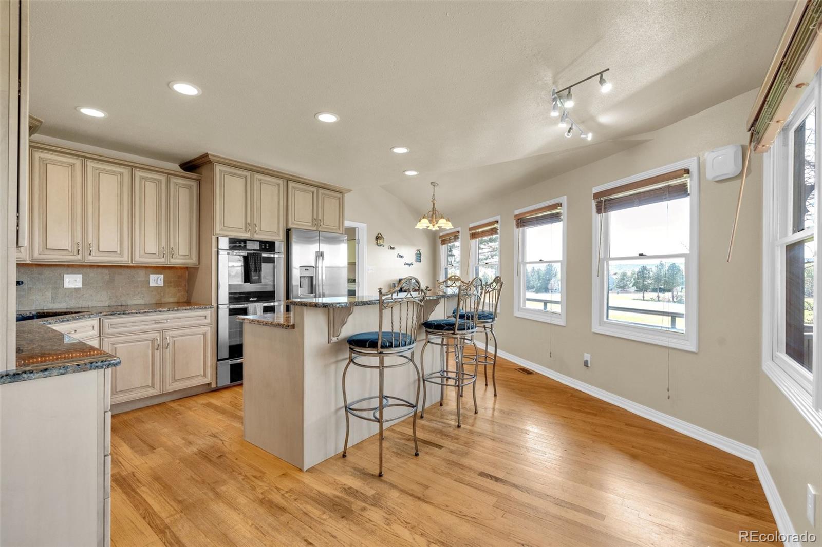 157 Cheney Place Castle Rock CO 80104