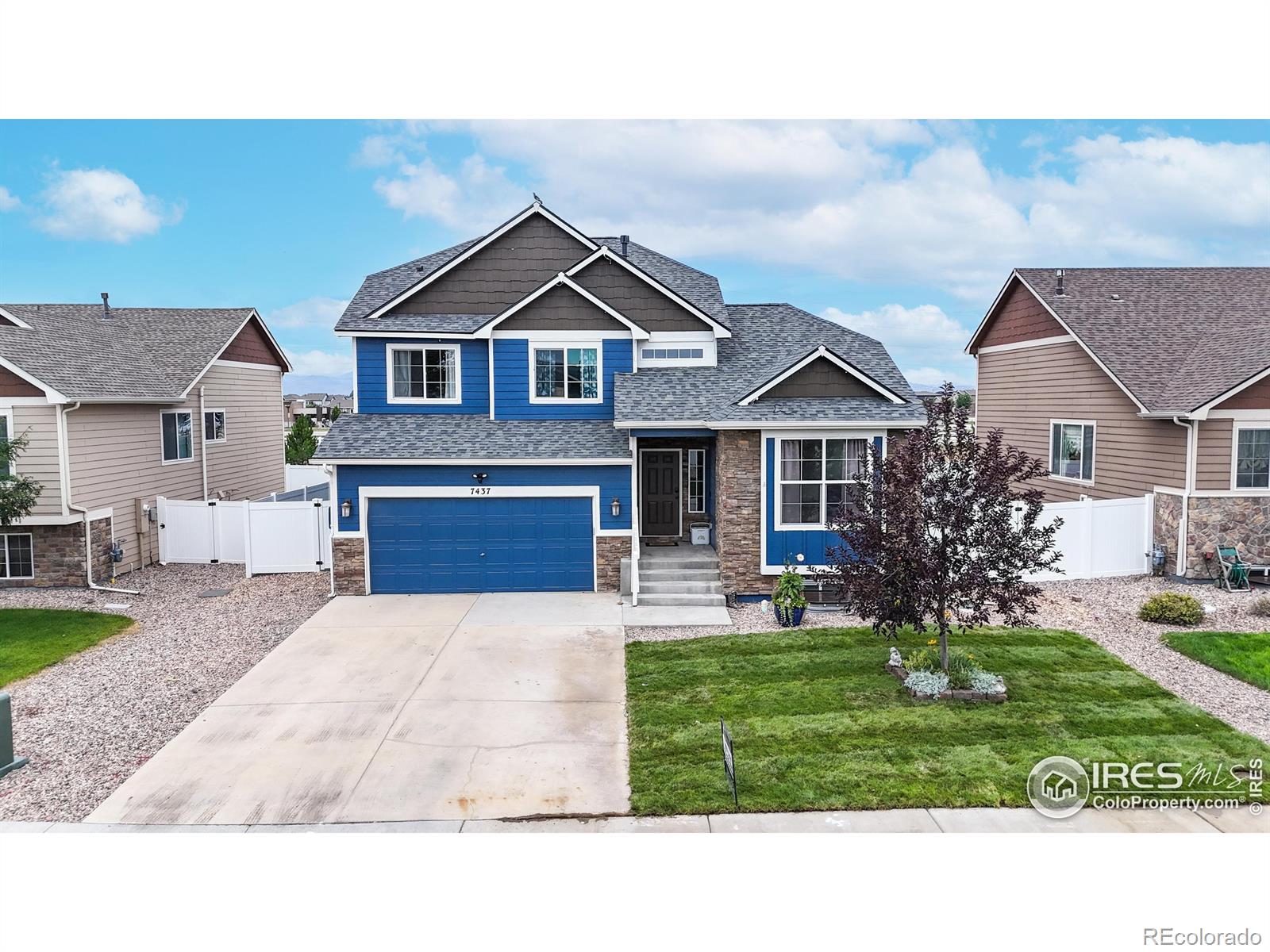 7437 Home Stretch Drive Wellington CO 80549