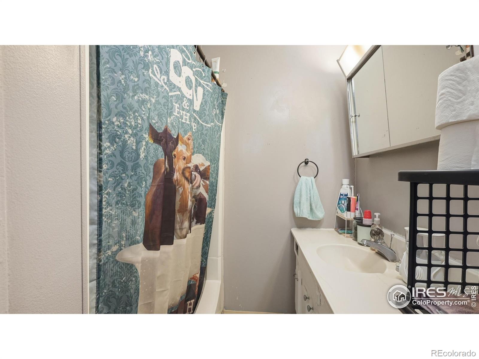 203 Clark Street Kersey CO 80644