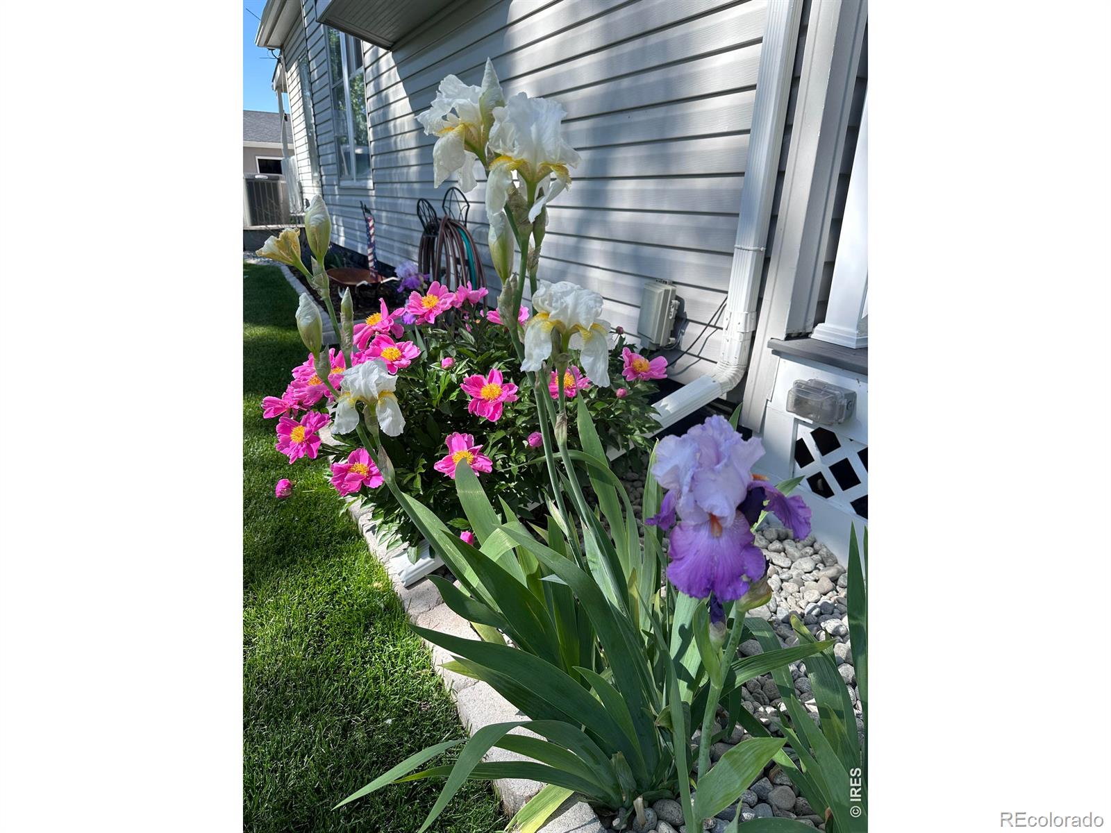9916 County Road 48 1/2 Milliken CO 80543