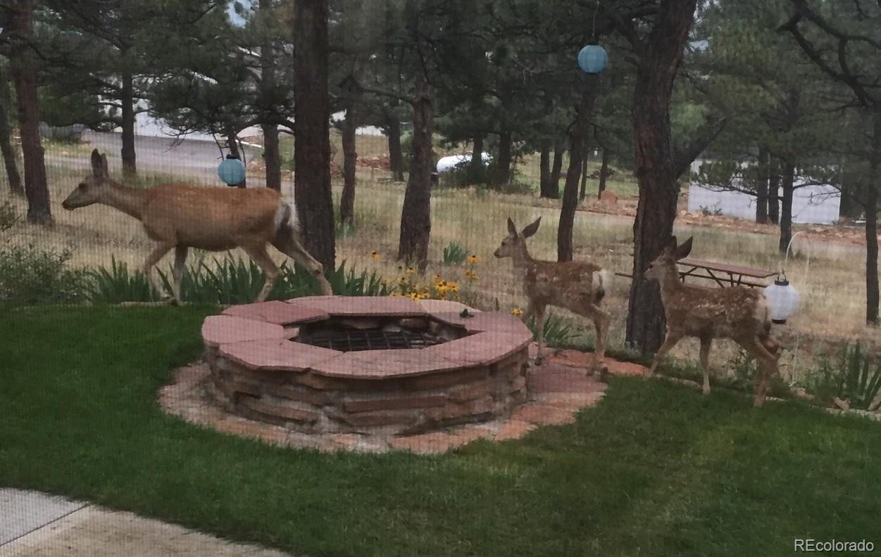 4000 Fawn Trail Loveland CO 80537