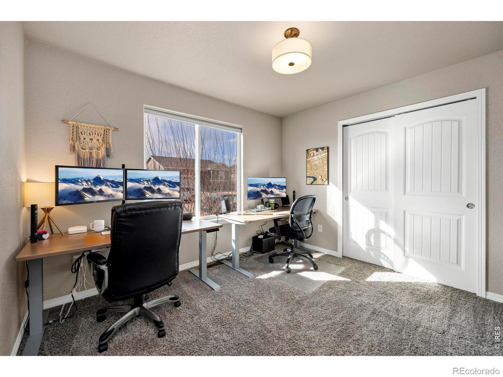5225 Carmon Drive Windsor CO 80550