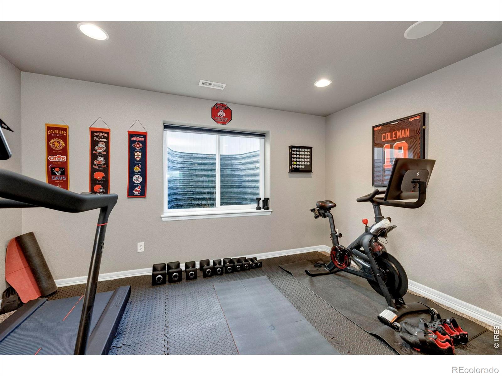 5225 Carmon Drive Windsor CO 80550